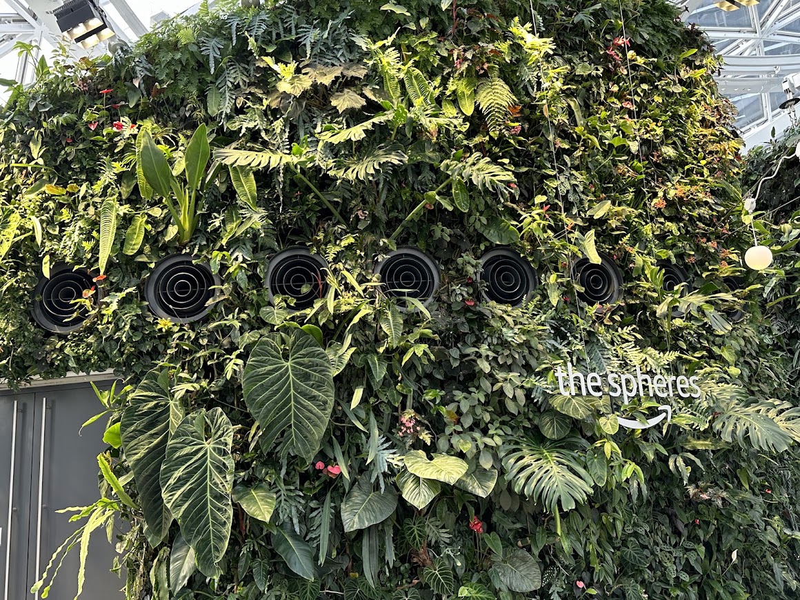 Amazon Spheres