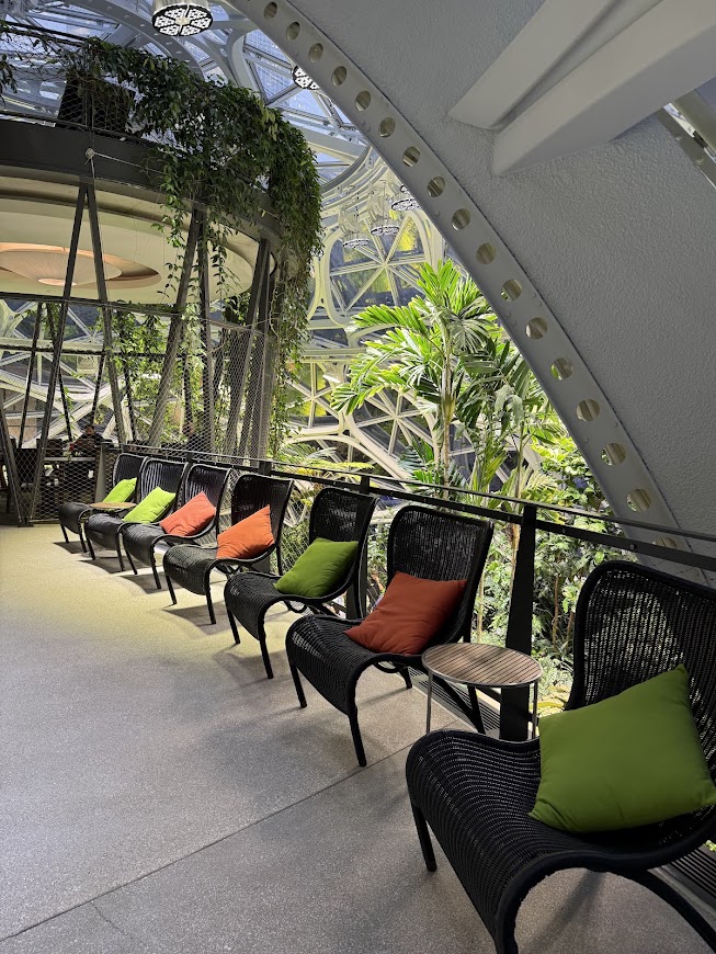 Amazon Spheres