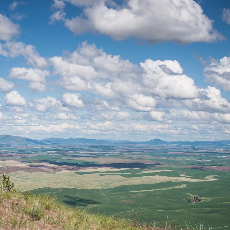 Steptoe Butte