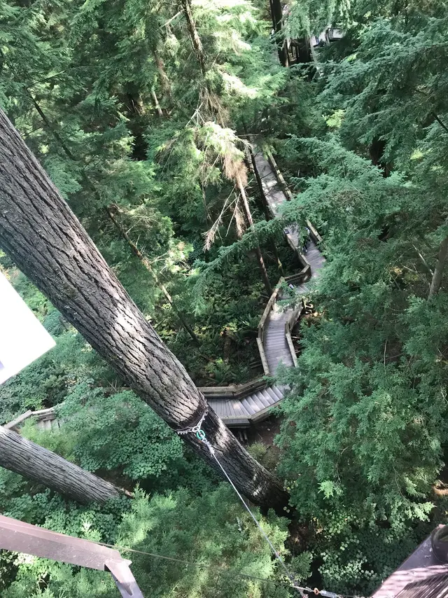 Capilano Suspension Bridge