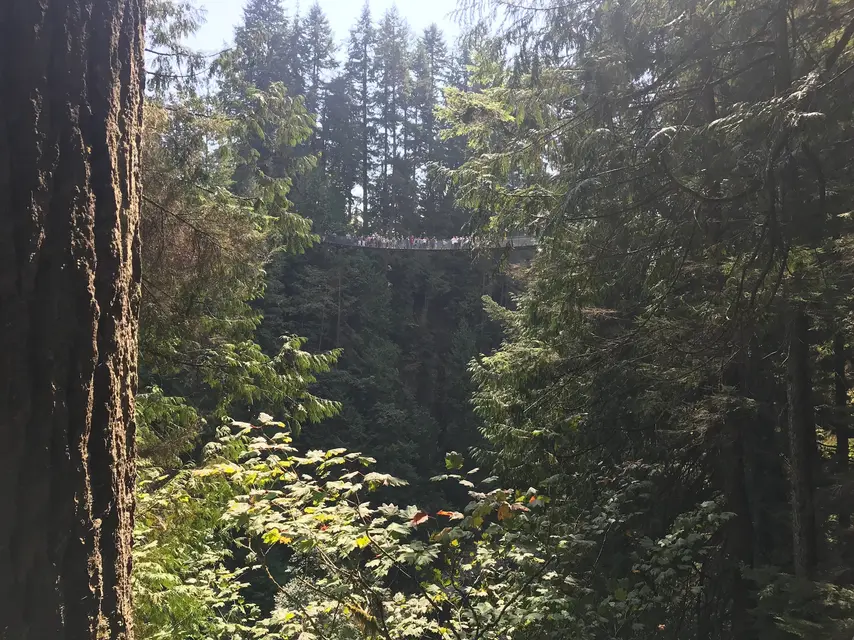 Capilano Suspension Bridge