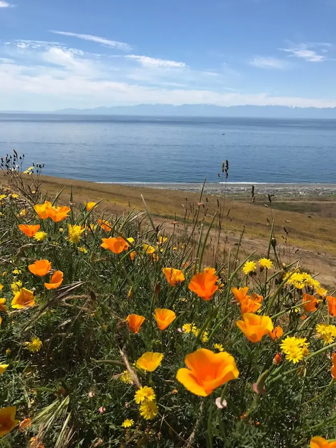 San Juan Islands
