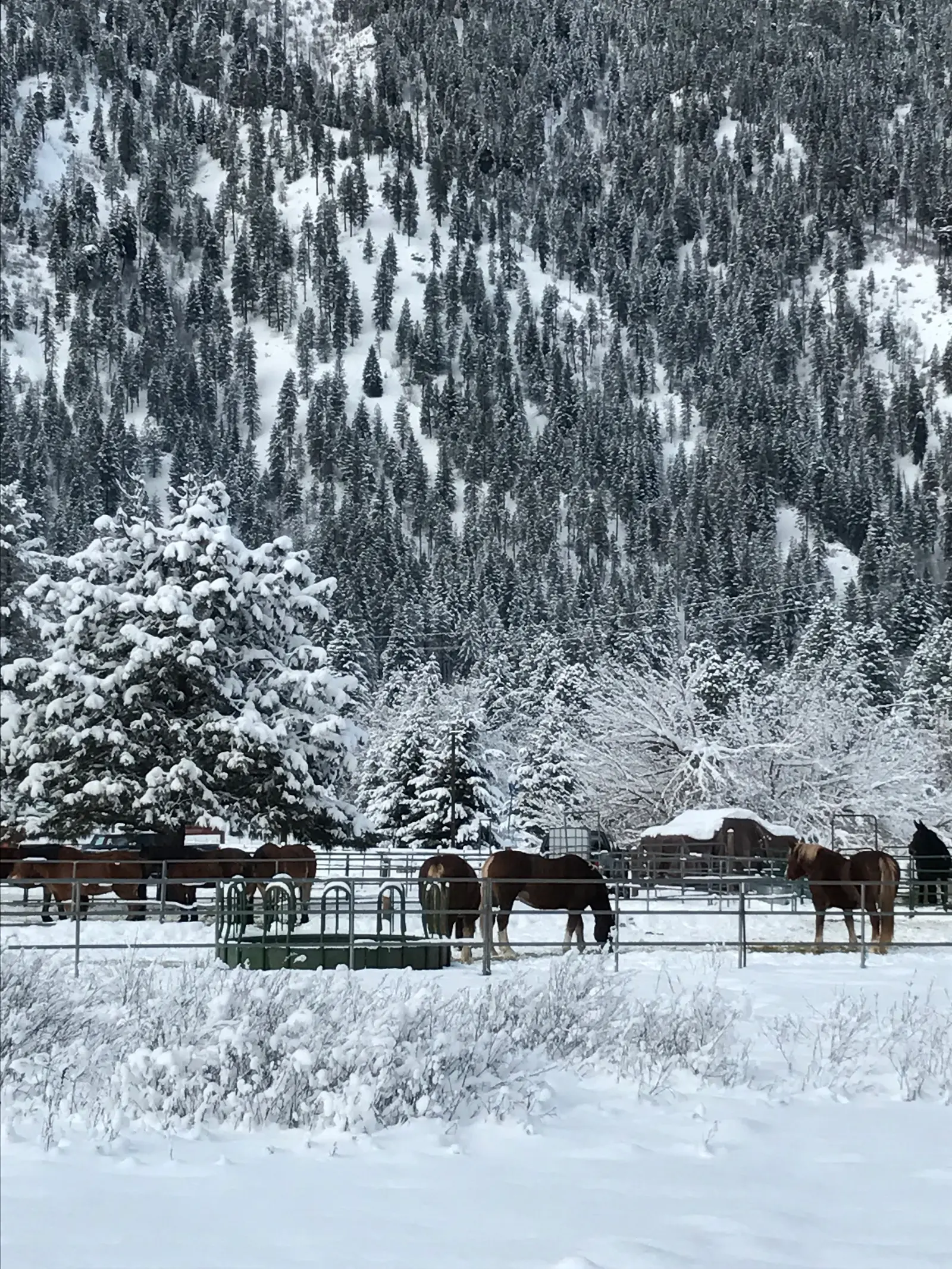 Christmas in Leavenworth