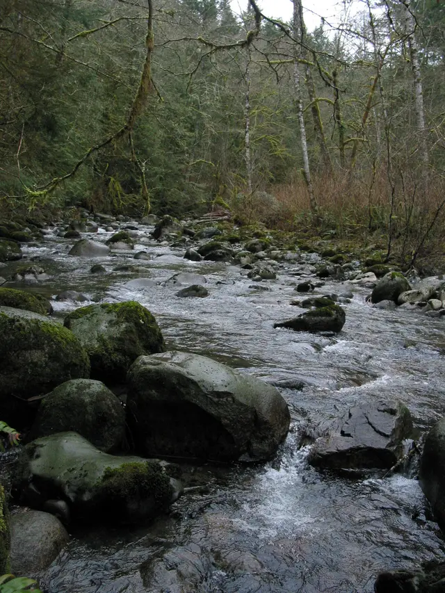 Wallace Falls State Park