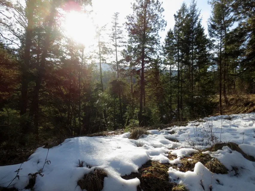 Scenic Canyon Regional Park