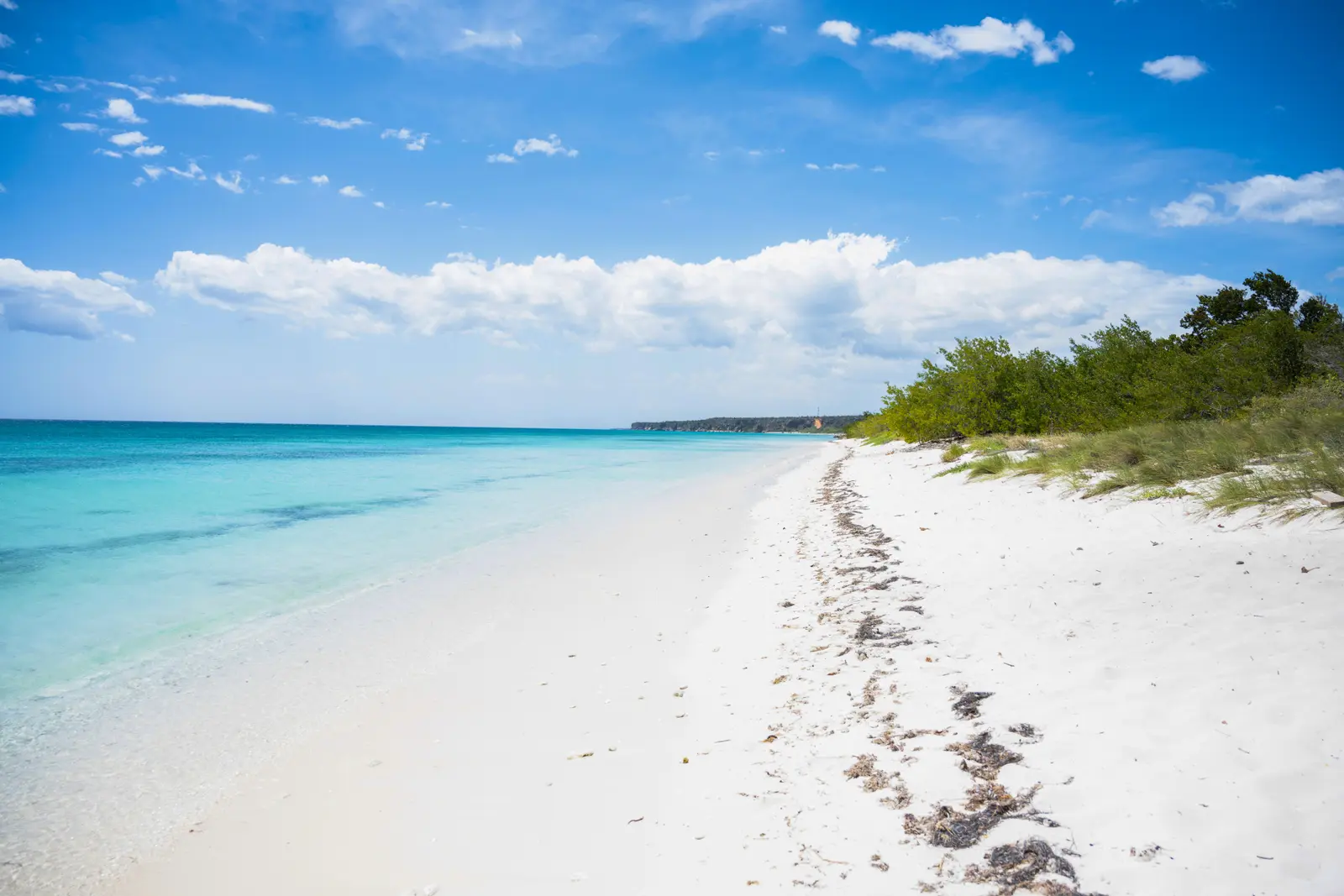 Bahia de las Aguilas