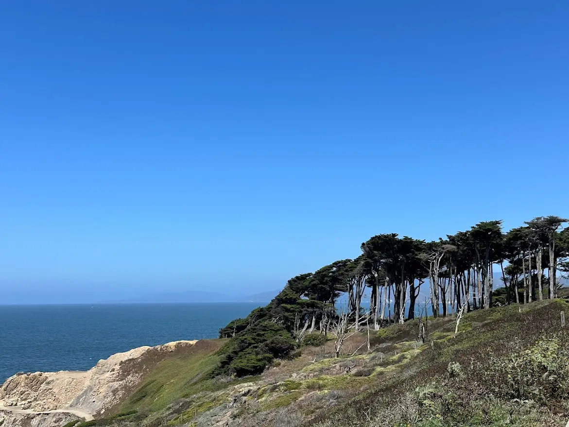 Lands End