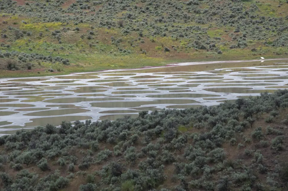 Spotted Lake