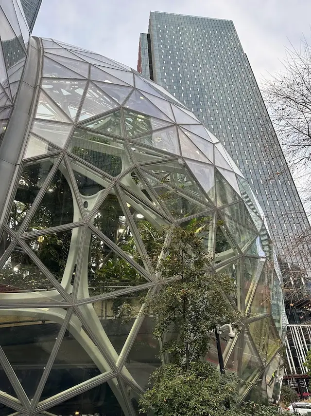 Amazon Spheres