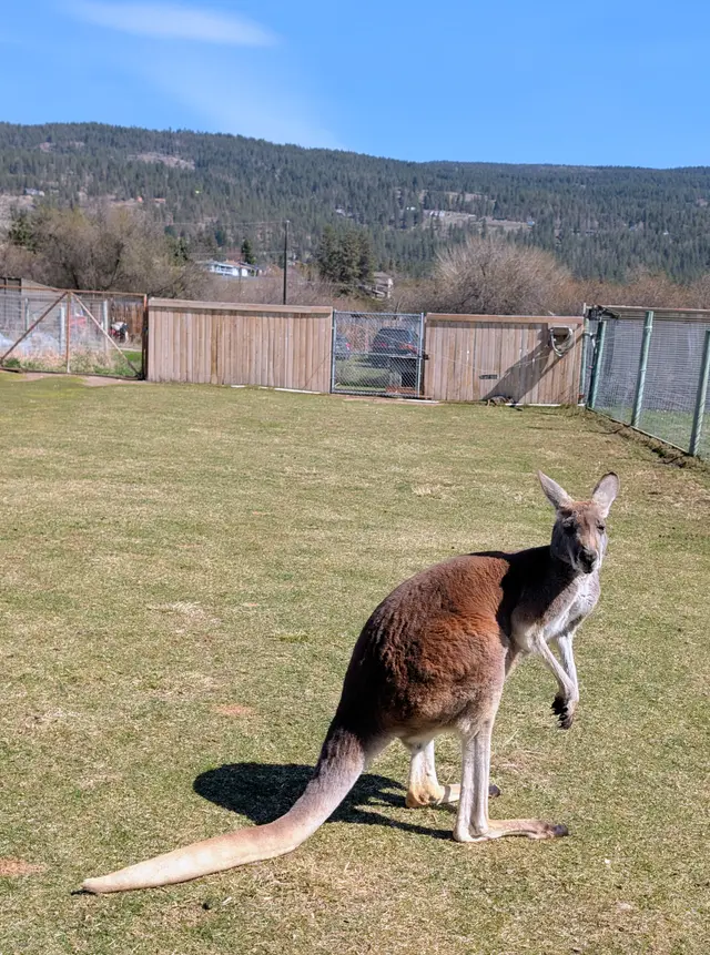 Okanagan Lake