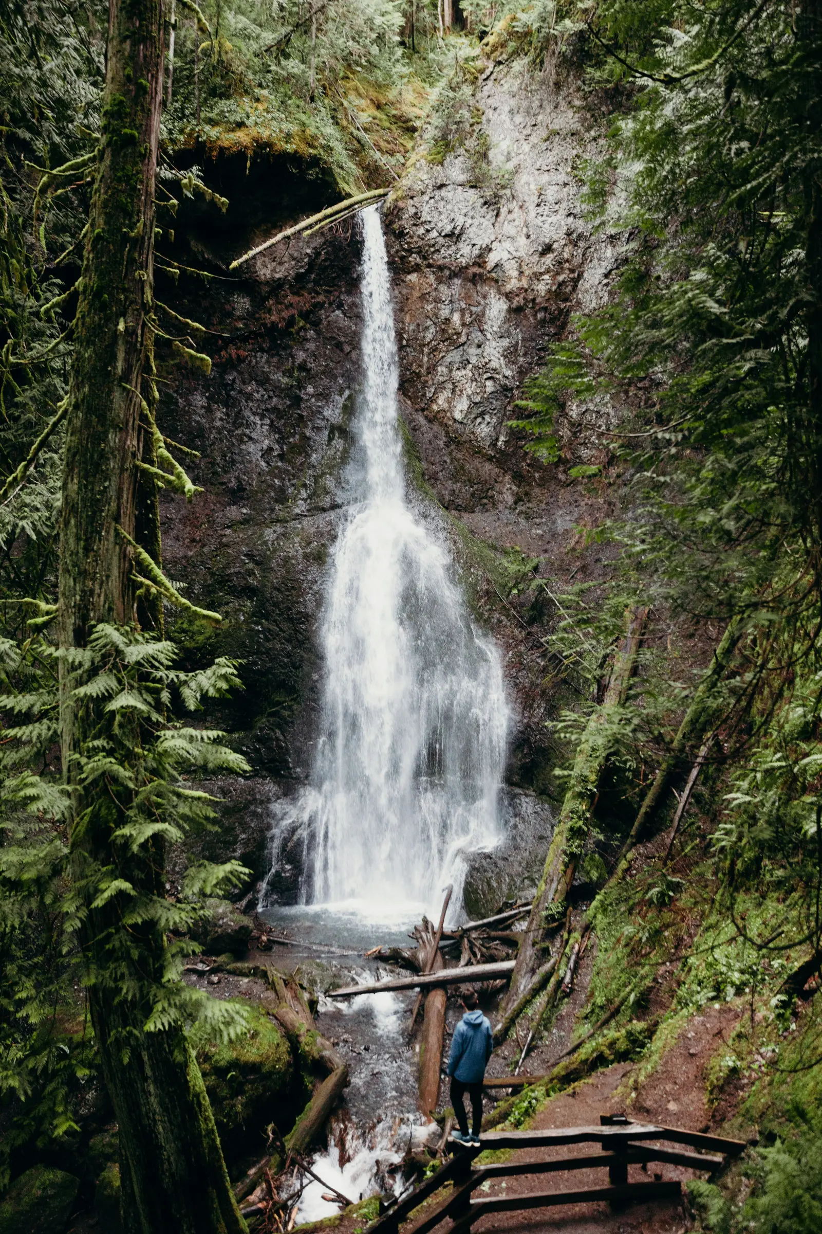 Marymere Falls