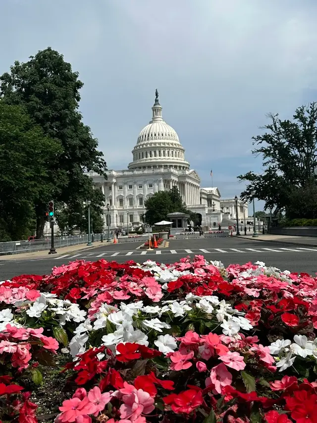 US Capitol