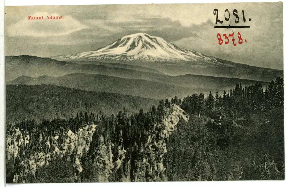 Mount Adams