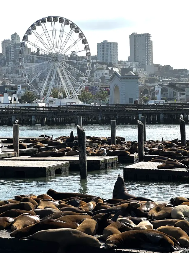 Fisherman's Wharf