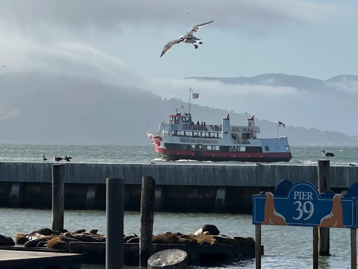 Fisherman's Wharf