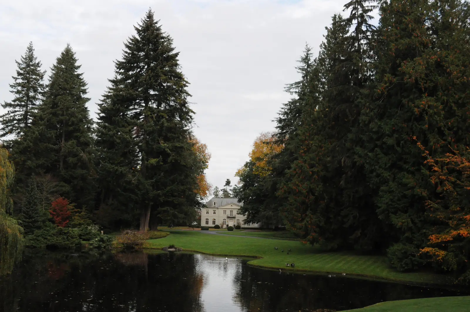 Bloedel Reserve