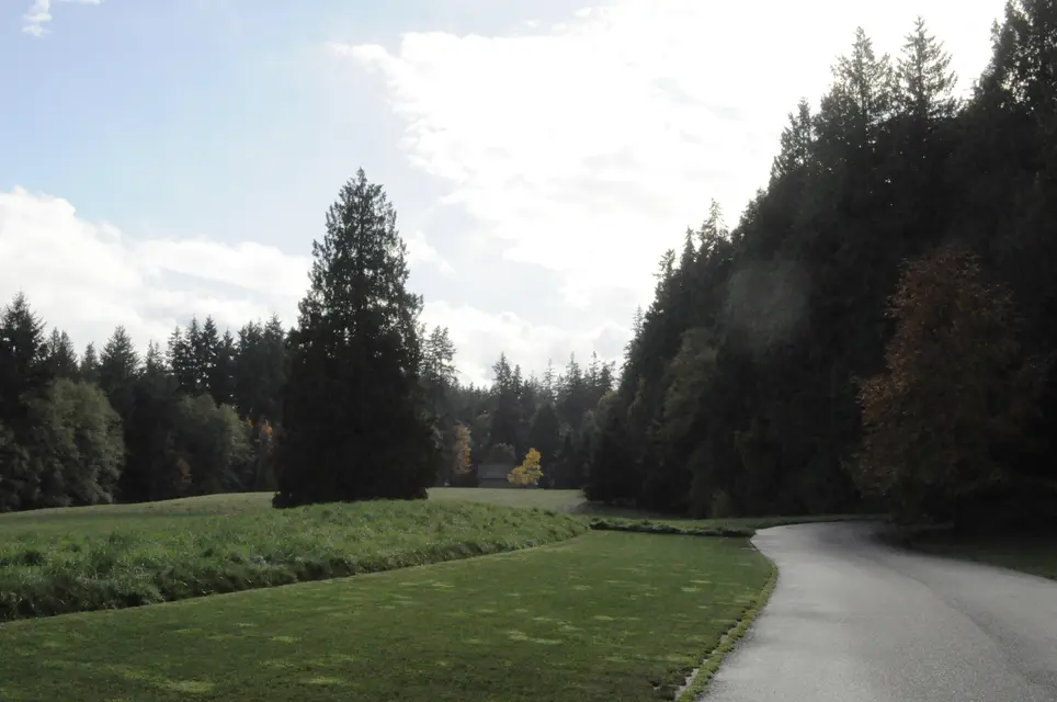 Bloedel Reserve