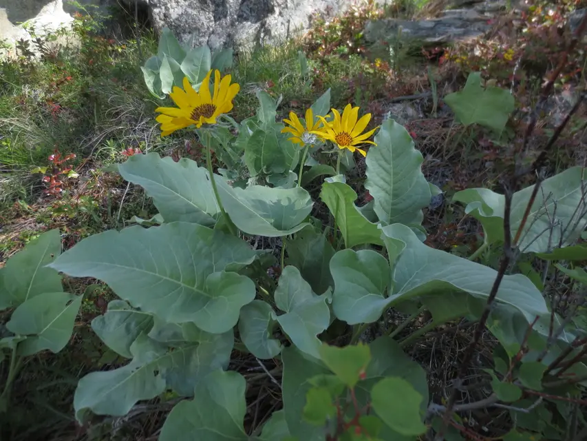 Skaha Bluffs Provincial Park