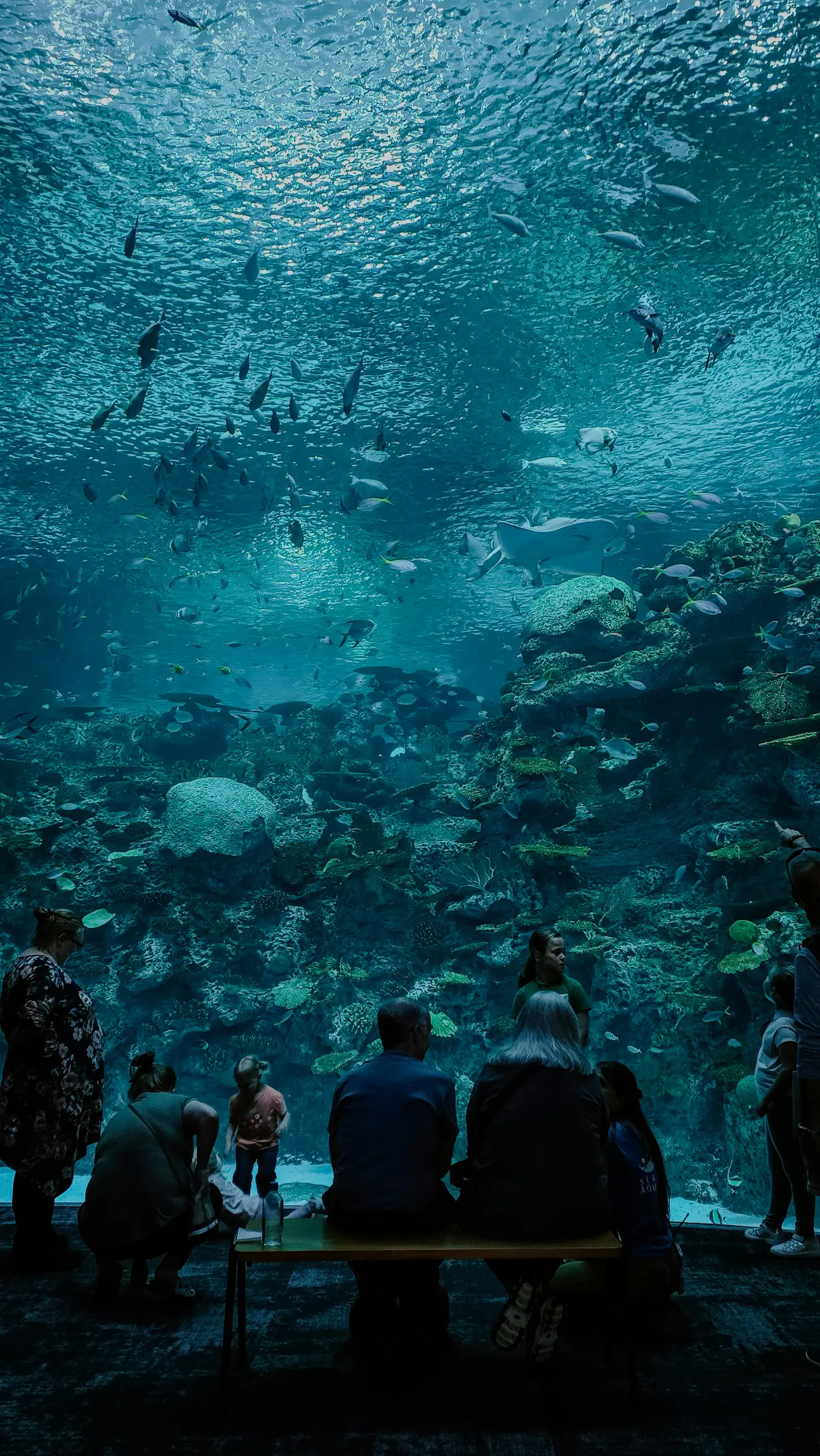 Seattle Aquarium