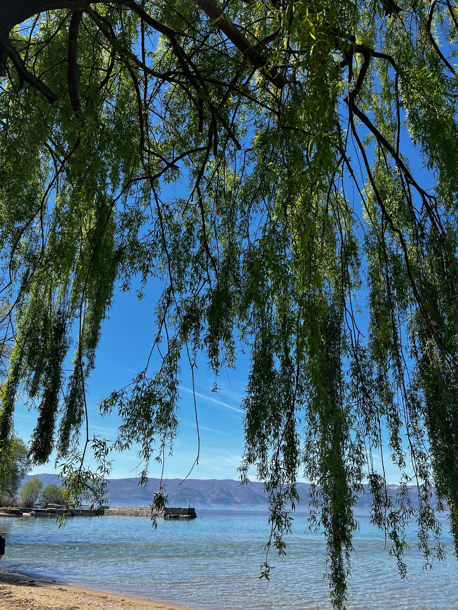 Lake Chelan State Park