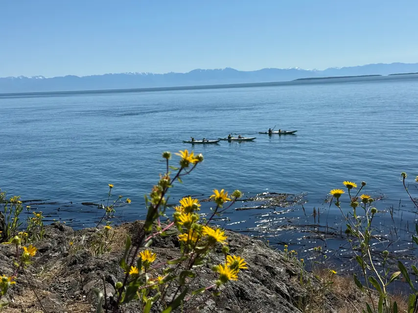 Lime Kiln Point State Park
