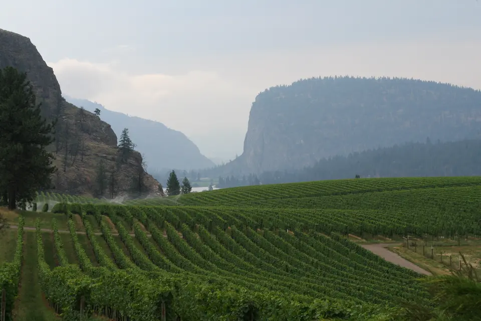 nʕaylintn (McIntyre Bluff)