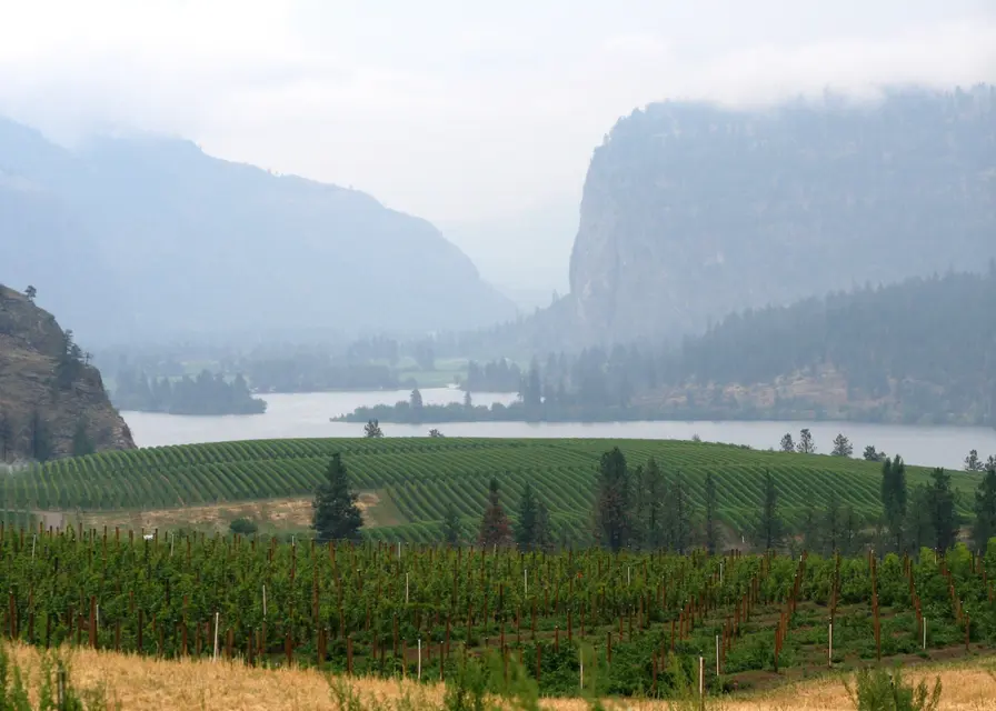 nʕaylintn (McIntyre Bluff)