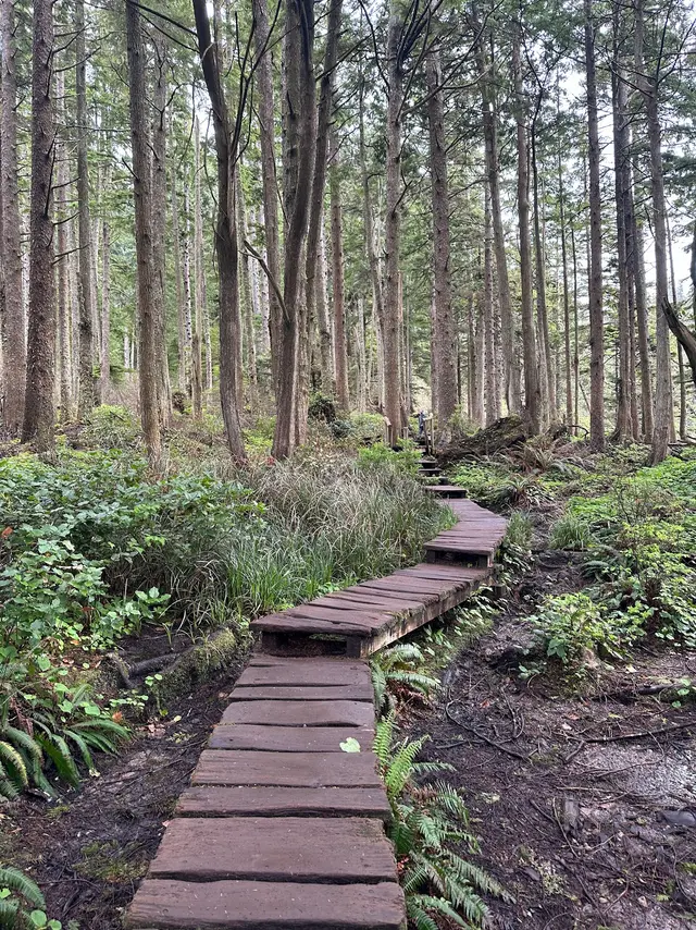 Cape Flattery