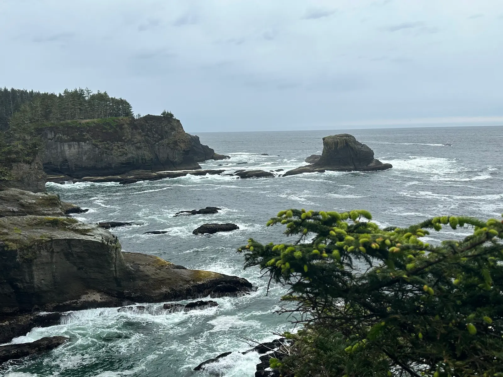 Cape Flattery