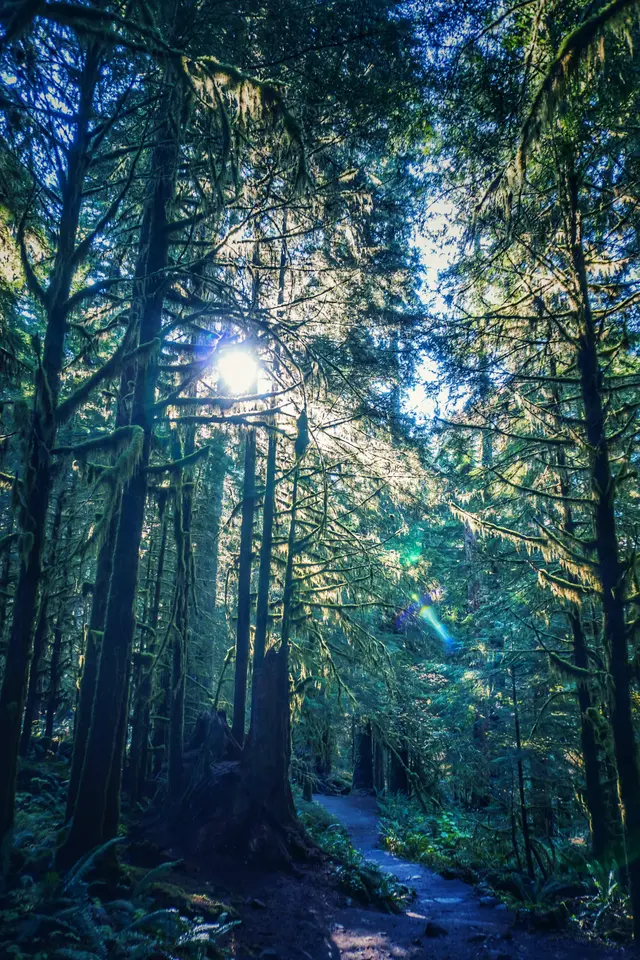 Sol Duc Falls