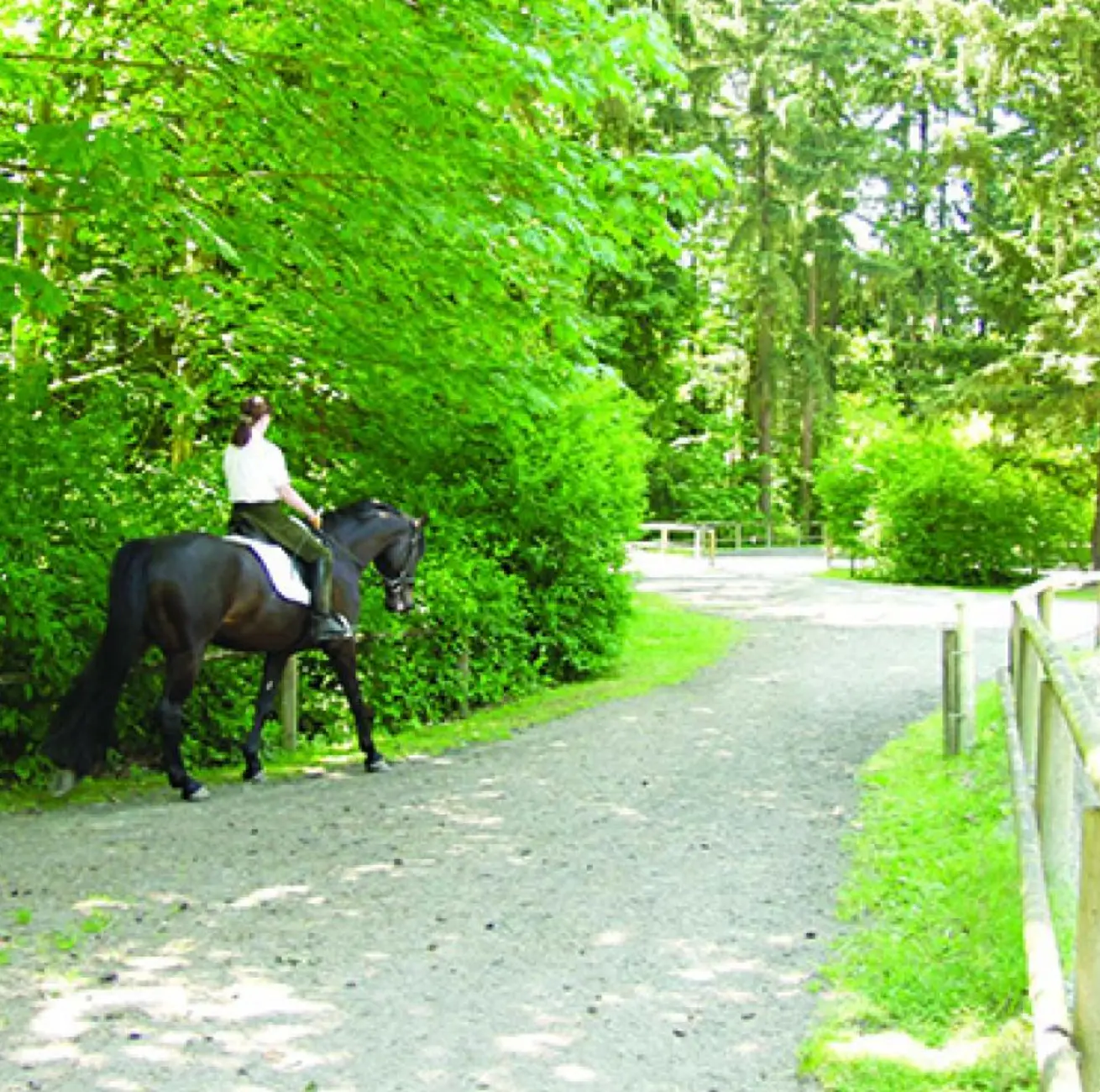 Bridle Trails State Park
