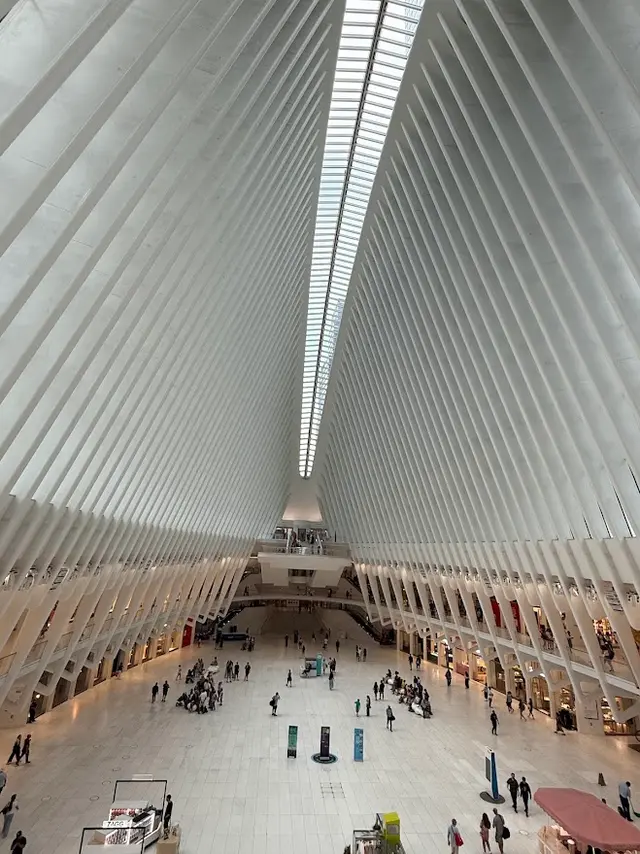 The Oculus