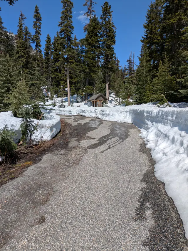 Washington Pass Overlook Trail
