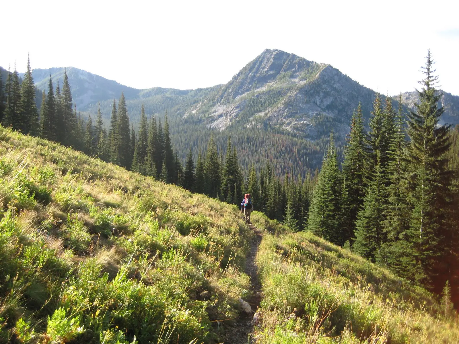 Lake Chelan-Sawtooth Wilderness