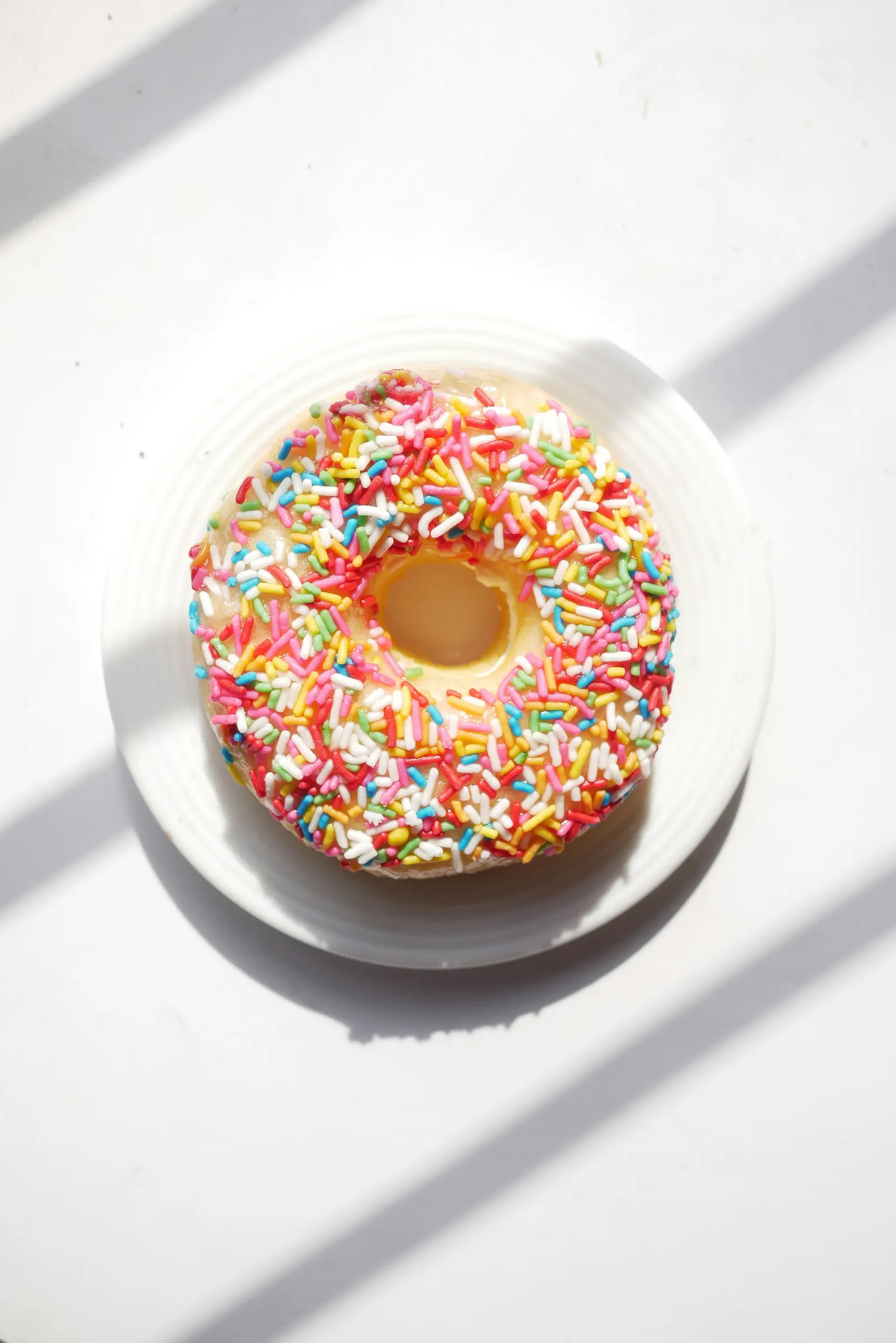 Glazed and Confused