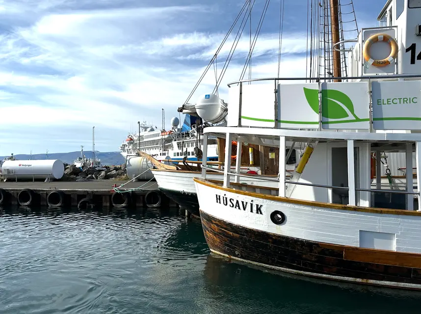 Húsavík Whale Watching