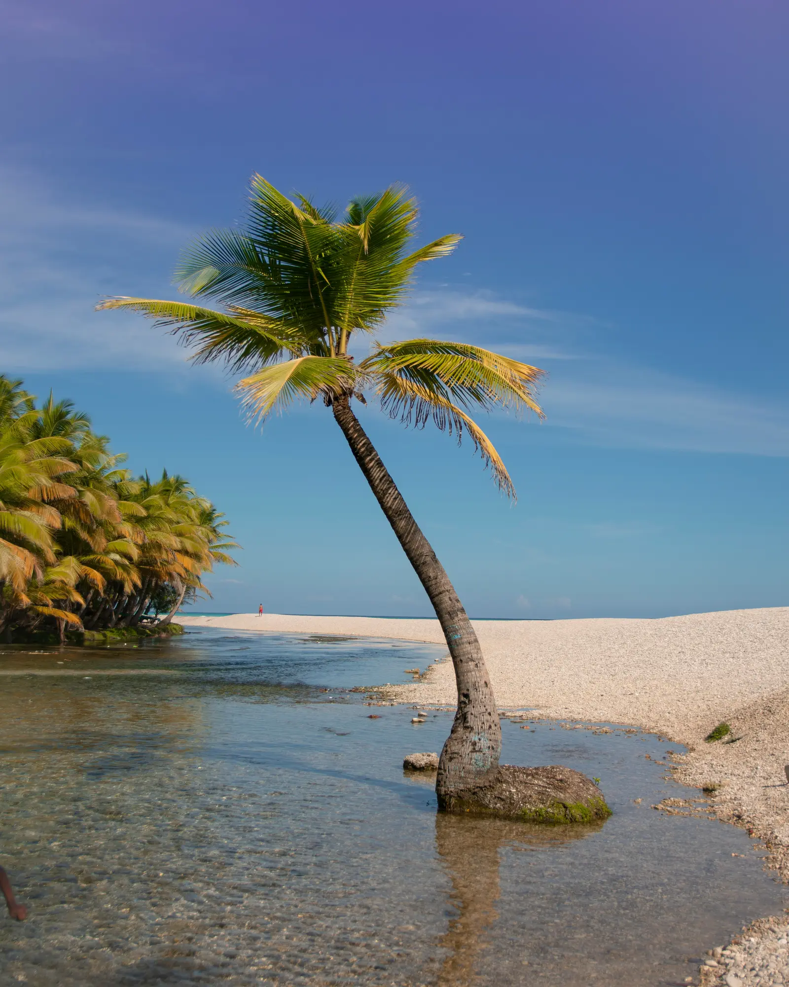 Playa Los Patos