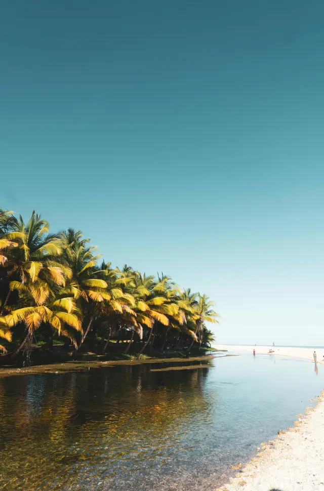 Playa Los Patos