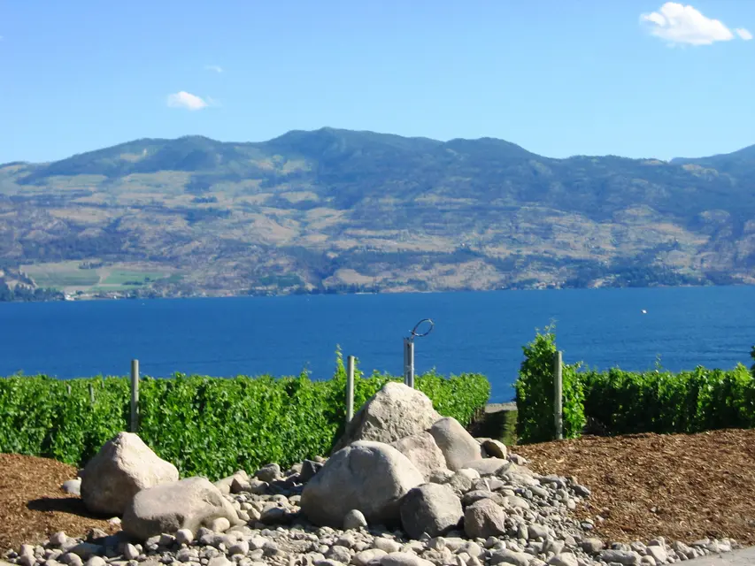 Quails’ Gate Winery