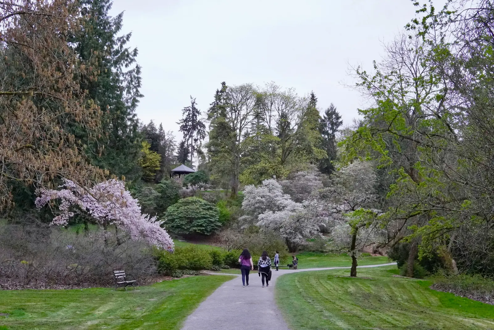 Washington Park Arboretum