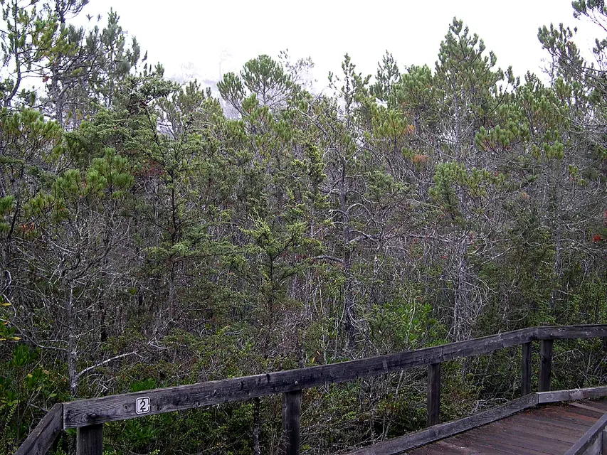 Van Damme State Park
